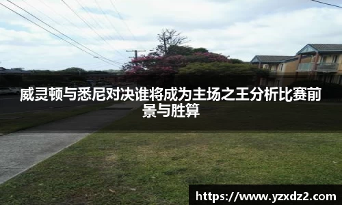 威灵顿与悉尼对决谁将成为主场之王分析比赛前景与胜算