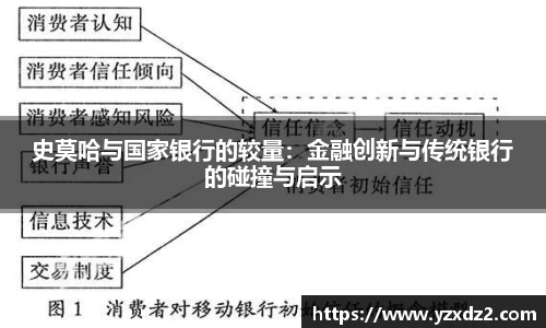 史莫哈与国家银行的较量：金融创新与传统银行的碰撞与启示